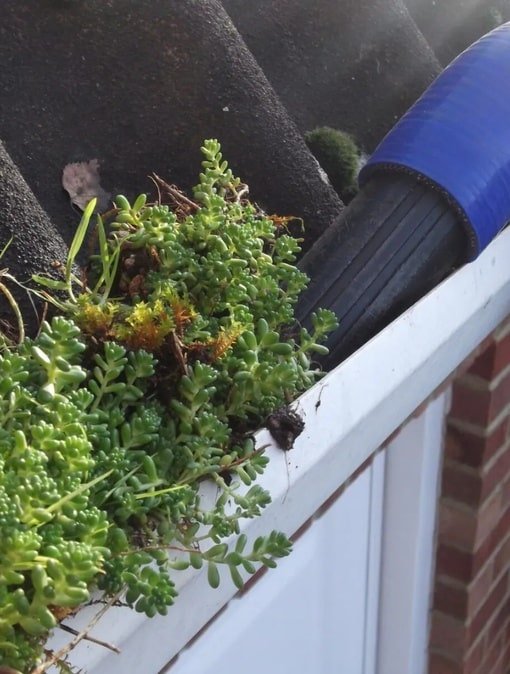 Gutter Cleaning in Bristol - What is it and Why does it matter