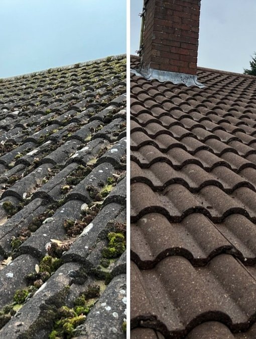 Roof Cleaning Facility Management Company
