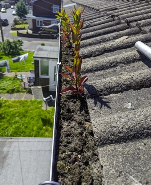 Gutter cleaning job 01 before (Bristol)