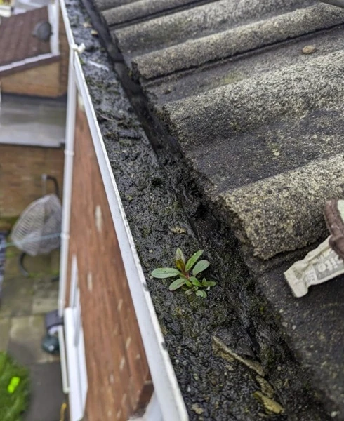Gutter cleaning job 02 before (Bristol)